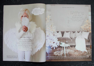 Libelle (carpet), Dutch magazine, December 2014