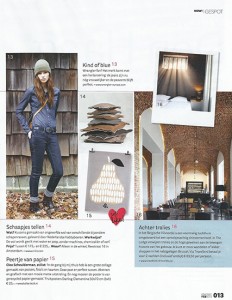 vtwonen, Dutch magazine, February 2013