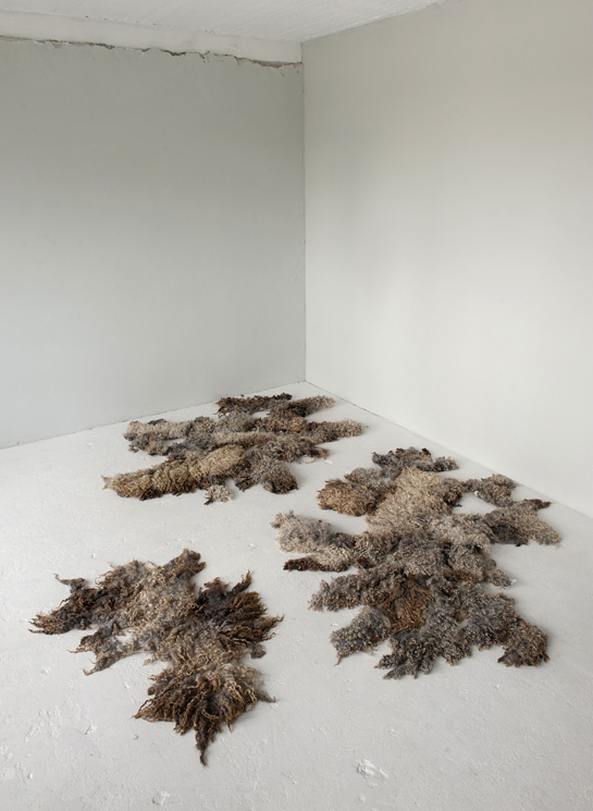 The Soft World, carpets, Islands of Wool